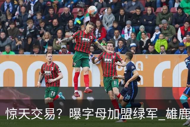 惊天交易？曝字母加盟绿军 雄鹿为布朗寻找第三方